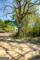 0 Kermit Road - Photo 6