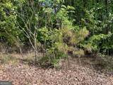 LOT 25 Loftis Mountain - Photo 10