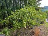 LOT 25 Loftis Mountain - Photo 11