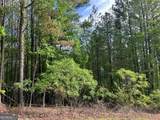 LOT 25 Loftis Mountain - Photo 21