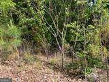 LOT 25 Loftis Mountain - Photo 7