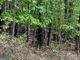LOT 25 Loftis Mountain - Photo 9