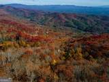 36 Utana Bluffs Trail - Photo 10