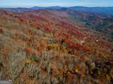 36 Utana Bluffs Trail - Photo 11