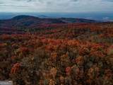 36 Utana Bluffs Trail - Photo 8