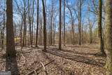 117 Kinney Creek Lane - Photo 7