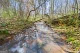 117 Kinney Creek Lane - Photo 9