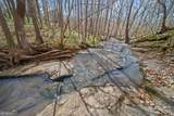 245 Kinney Creek Lane - Photo 4