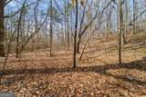 245 Kinney Creek Lane - Photo 7