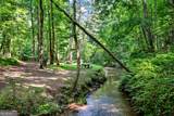 333 Hawks Nest - Photo 47