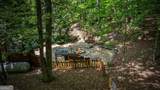 143 Kaely Drive - Photo 67