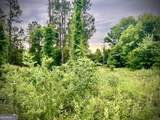 0 Walke Dairy Road - Photo 7