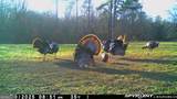 6620 Jr Sims Road - Photo 79