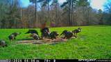 6620 Jr Sims Road - Photo 80