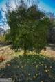 272 Old Sudie Road - Photo 45