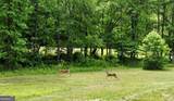 TRACT 1 Timber Ridge Road - Photo 5