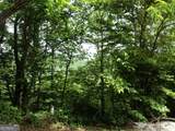 LOT SM4 Raven Fork Trail - Photo 7