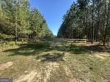 0 Dorsey Clark Road - Photo 1