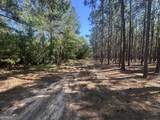 0 Dorsey Clark Road - Photo 11