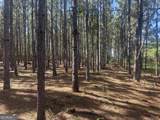 0 Dorsey Clark Road - Photo 2