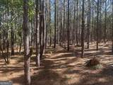 0 Dorsey Clark Road - Photo 3