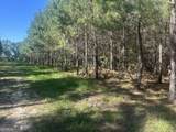 0 Dorsey Clark Road - Photo 4