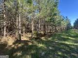 0 Dorsey Clark Road - Photo 5