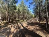0 Dorsey Clark Road - Photo 7