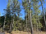 014 Mt Zion Road - Photo 6
