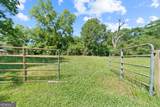 426 Poplar Street - Photo 42