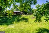 426 Poplar Street - Photo 50