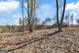 LOT 103 Blalock Mountain Road - Photo 14
