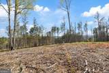 LOT 103 Blalock Mountain Road - Photo 15