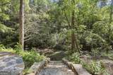 1102 Soque Wilderness Road - Photo 4