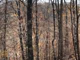 0 Forked Leaf Road - Photo 4