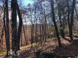 0 Forked Leaf Road - Photo 6