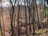 0 Forked Leaf Road - Photo 7