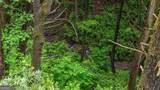 231 Conley Branch Road - Photo 50