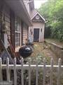 212 Little Street - Photo 3
