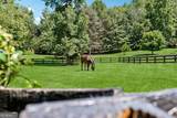 206 Savanna Estates Court - Photo 71