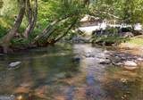 401 Mountain Rivers Road - Photo 48