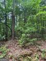 0 Nimblewill Creek Road - Photo 6