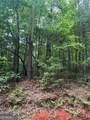 0 Nimblewill Creek Road - Photo 3