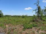 0 Goolsby Road - Photo 6