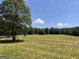 0 Wildcat Bridge Road - Photo 41