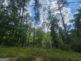 2.8 AC Bear Creek Point Road - Photo 2