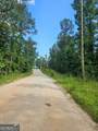 2.8 AC Bear Creek Point Road - Photo 5