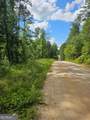 2.8 AC Bear Creek Point Road - Photo 7