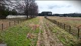 460 Dixie Road - Photo 18
