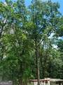 6394 Shore Drive - Photo 16